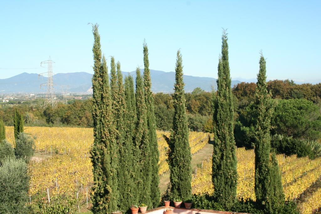 Agriturismo Gli Archi Fauglia Exterior foto