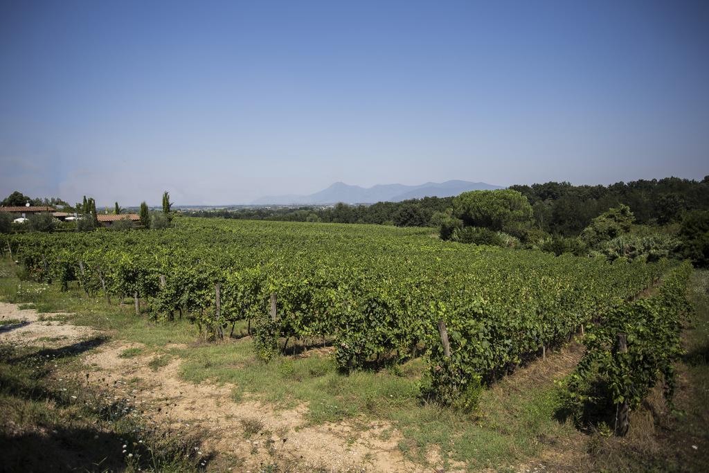 Agriturismo Gli Archi Fauglia Exterior foto