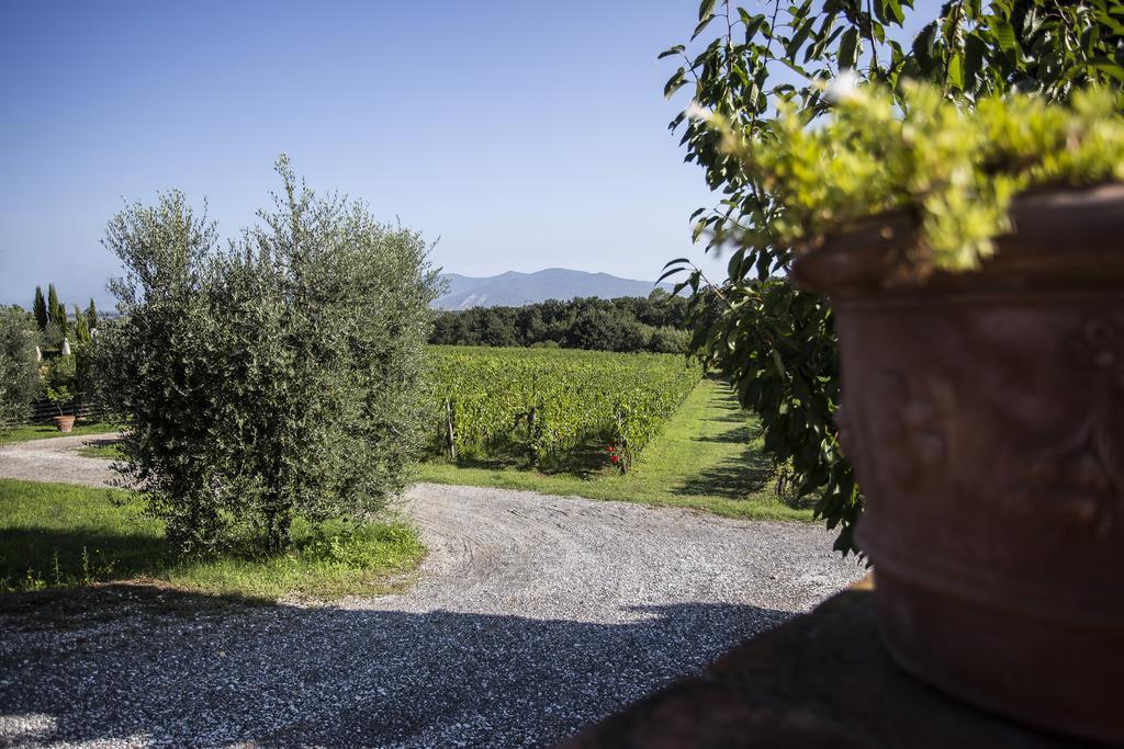 Agriturismo Gli Archi Fauglia Exterior foto