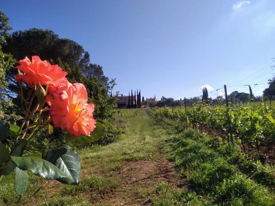 Agriturismo Gli Archi Fauglia Exterior foto