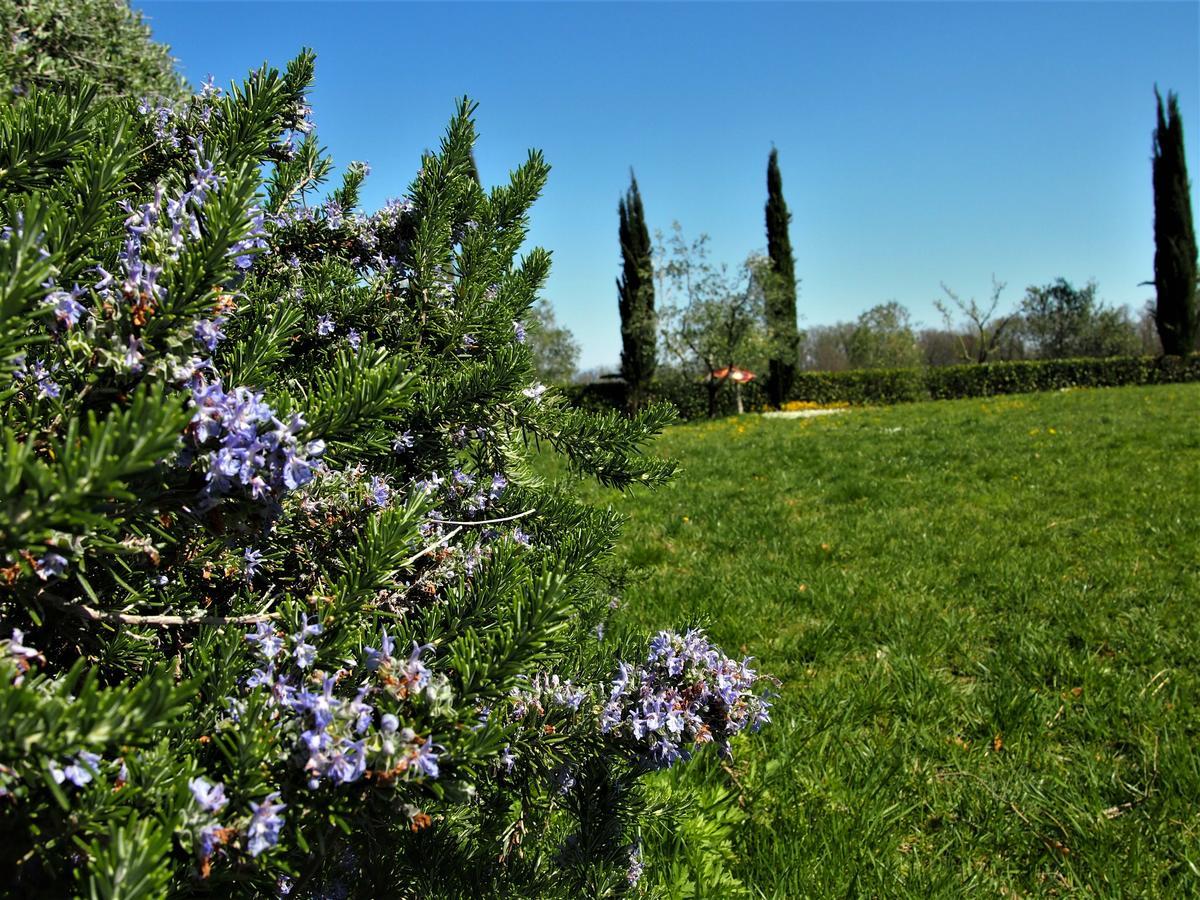 Agriturismo Gli Archi Fauglia Exterior foto