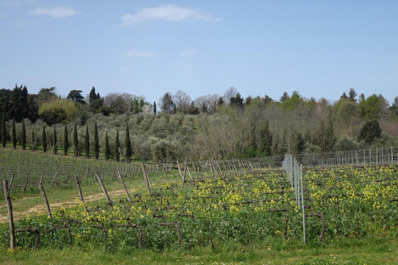 Agriturismo Gli Archi Fauglia Exterior foto