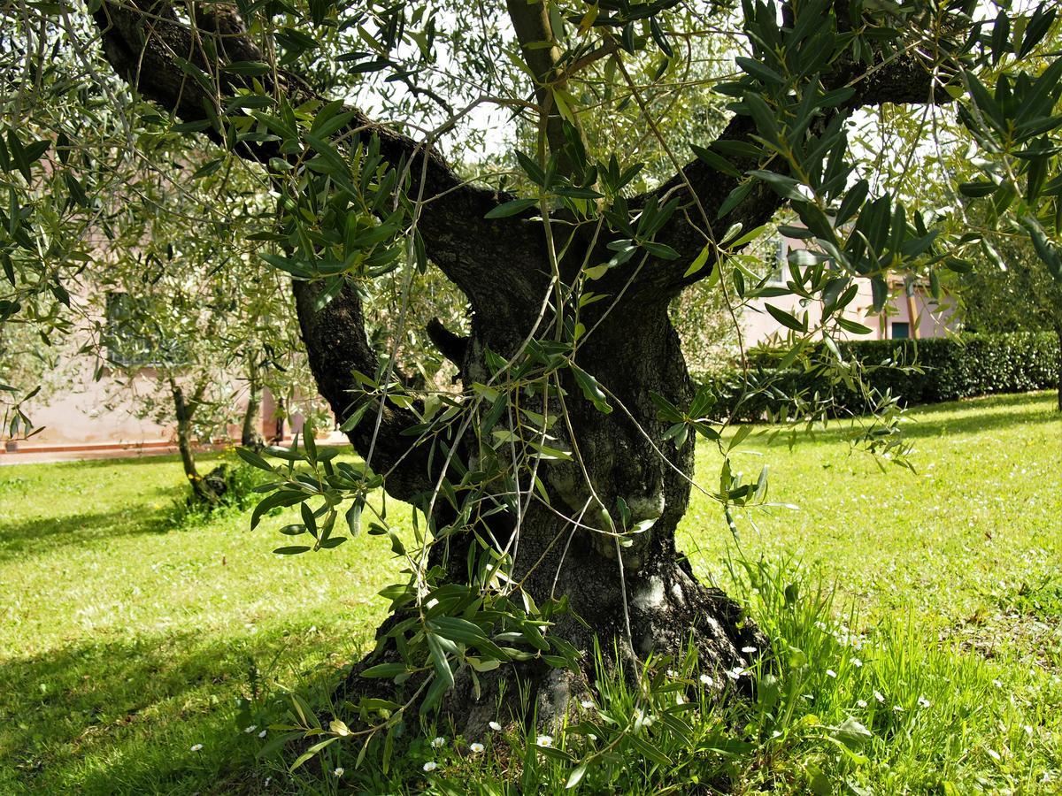 Agriturismo Gli Archi Fauglia Exterior foto